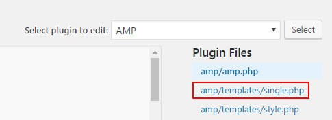 Editing the AMP plugin single.php file.