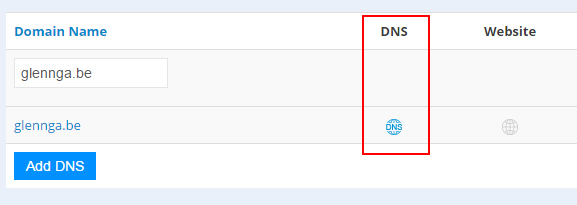 Edit the DNS settings for your short domain name.