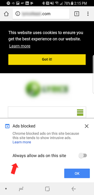 Ad filter details in Chrome.