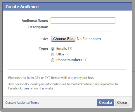 The Custom Audience Dialog Box in Facebook Ads