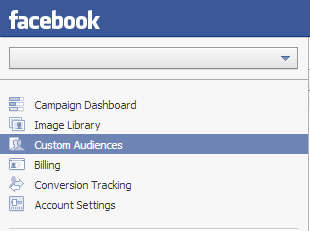 Custom Audience Tab in Facebook Ads