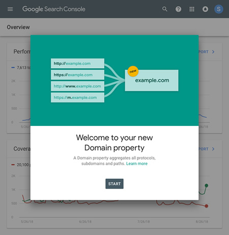 Domain Property in Google Search Console (GSC)