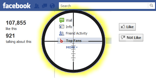 Targeting Competitor Fans via Facebook Ads