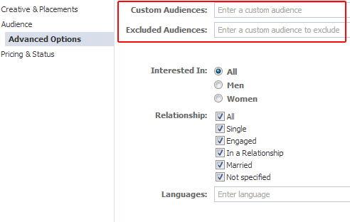 Selecting a custom audience for an unpublished post ad in Power Editor.