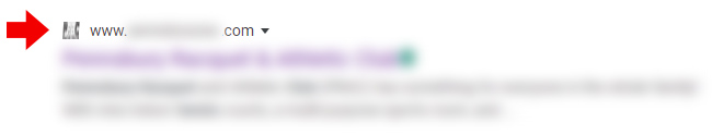 Example of favicon with the wrong aspect ratio in the Google search results.