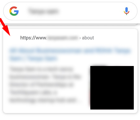 Missing favicon in the Google search results.