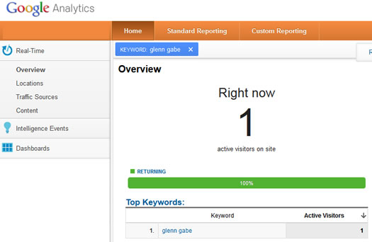 Google Analytics Referral Experiment - Search Visit