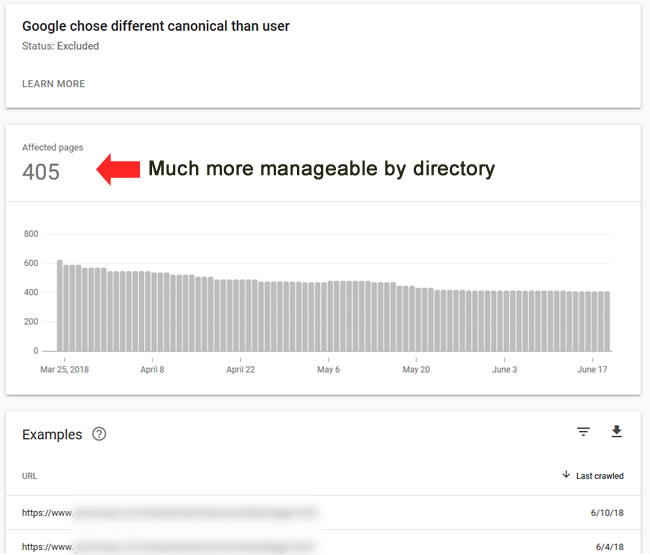 Google chose a different canonical than user in Index Coverage reporting.