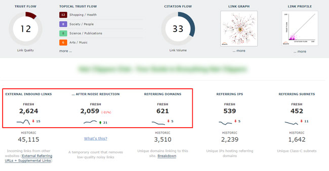 Site with weak link profile surging during the March 2022 Product Reviews Update.