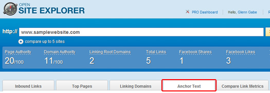 Clicking the Anchor Text Tab in Open Site Explorer