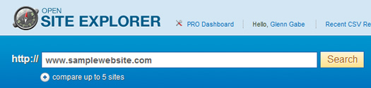 Entering a URL in Open Site Explorer