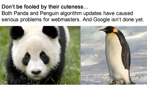 Panda and Penguin Algorithm Updates