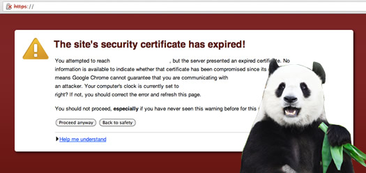 Expired SSL Certificate Impacting SEO Traffic