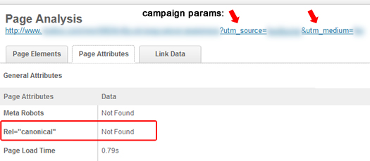 Not Using Rel Canonical With Campaign Parameters