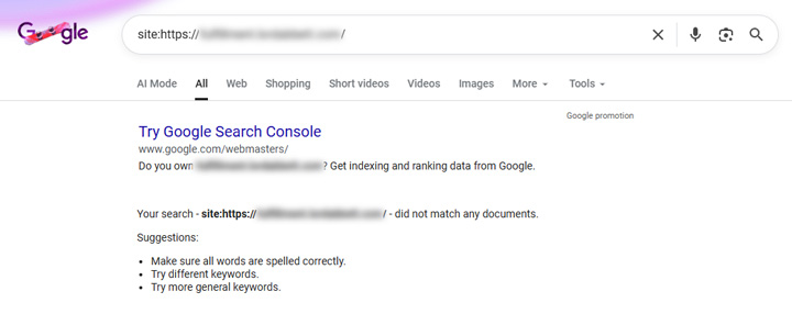 Site query showing a rogue subdomain removed from the SERPs.