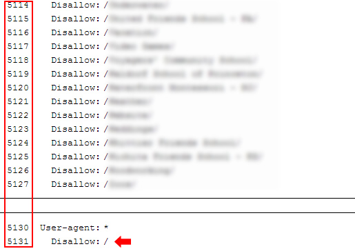 Example of excessive directives in robots.txt