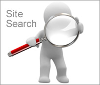 Site Search Analysis in Web Analytics