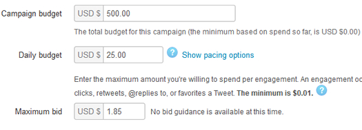 Setting a bid and budget in Twitter Ads