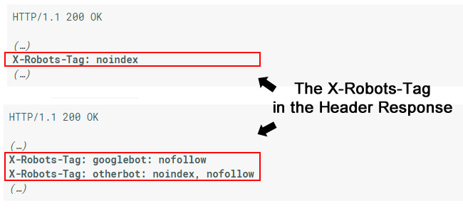 Examples of the X-Robots-Tag