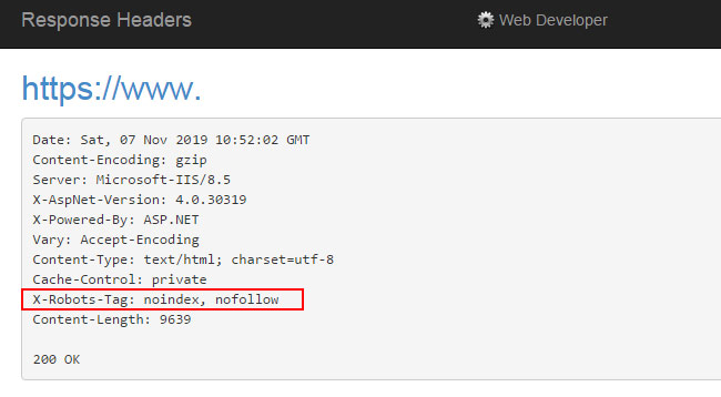 Checking the X-Robots-Tag Using Web Developer Plugin